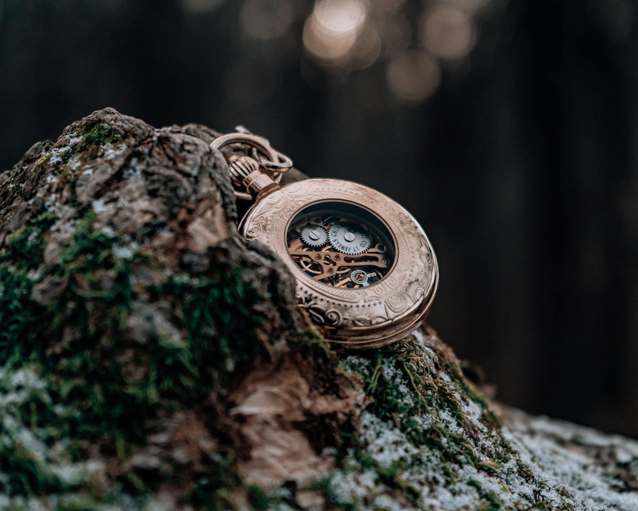 A close-up of a vintage gold pocket watch with visible gears resting on tree bark, conveying timeless elegance.